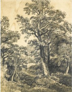 A Wooded Landscape, East Bergholt