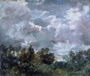 Study of Sky and Trees